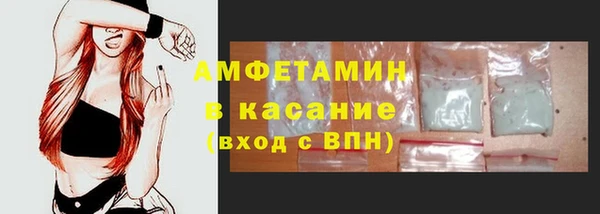 PSILOCYBIN Алзамай