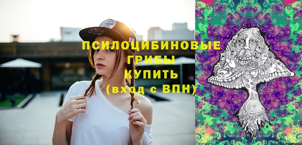 стаф Алексеевка