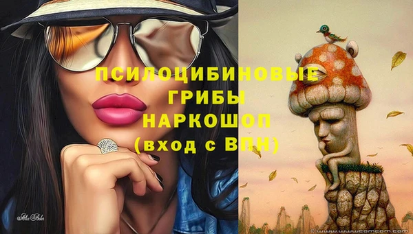 PSILOCYBIN Алзамай