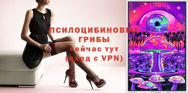 стаф Алексеевка