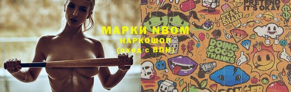PSILOCYBIN Алзамай