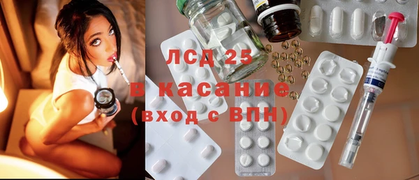 PSILOCYBIN Алзамай