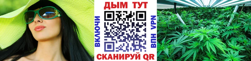 Шишки марихуана план  где найти наркотики  Весьегонск 